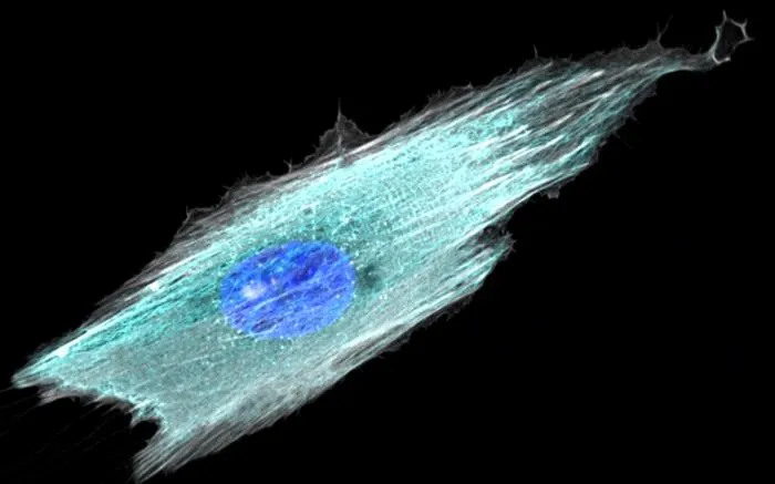 New research challenges understanding of mRNA vaccines and establishes innovative way to make them more effective